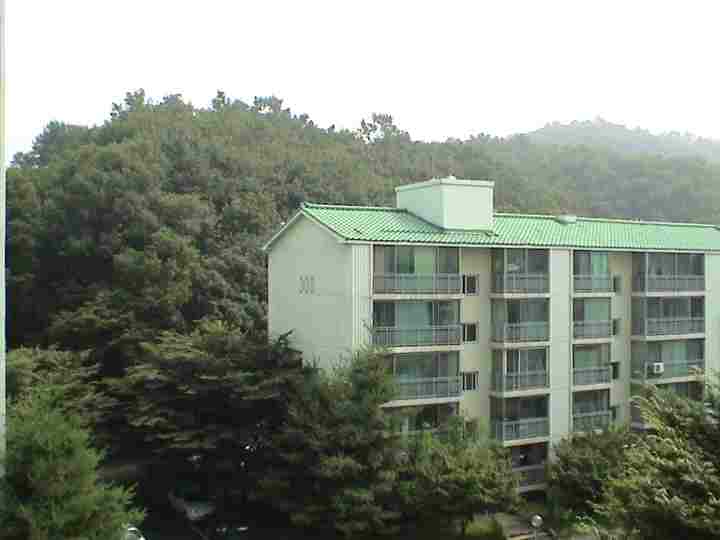 경기도 성남시 야탑동 매화마을주공3단지 | 부동산뱅크 단지뱅크