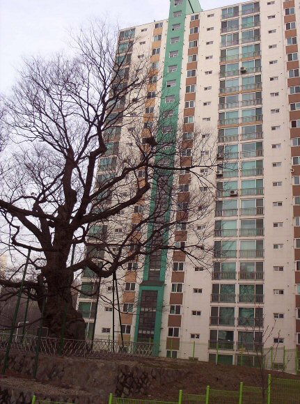 �������� - ��������