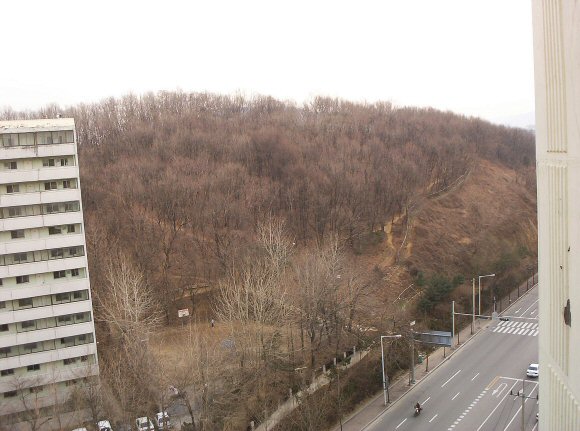 �ܺ����� - ��