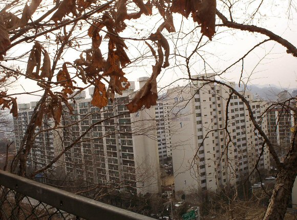 �������� - ��������