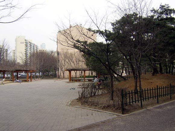 �������ü� - ���ǽü�(�ްԽǵ�)