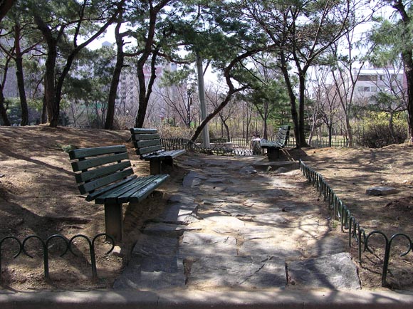 �������ü� - ���ǽü�(�ްԽǵ�)