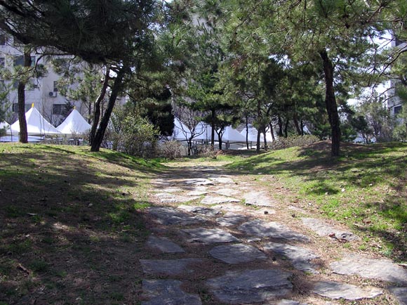 �������ü� - ������