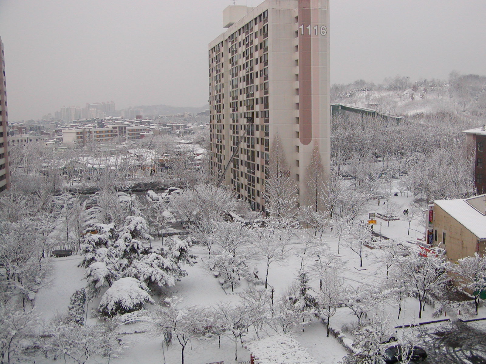 �������� - ������������