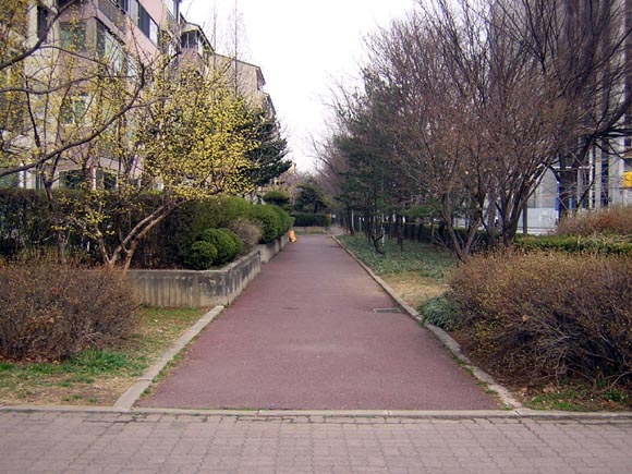 �������ü� - ��å��(����)