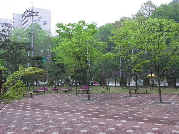 �������ü� - ���ǽü�(�ްԽǵ�)