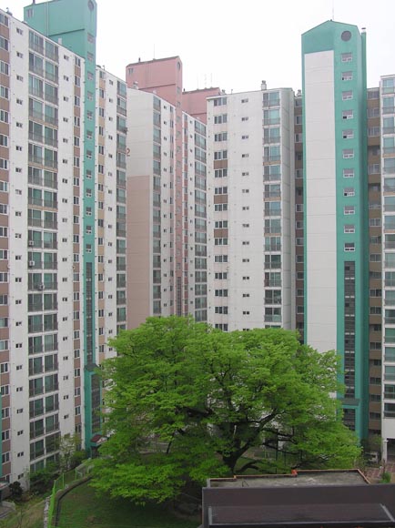 �������� - ��������