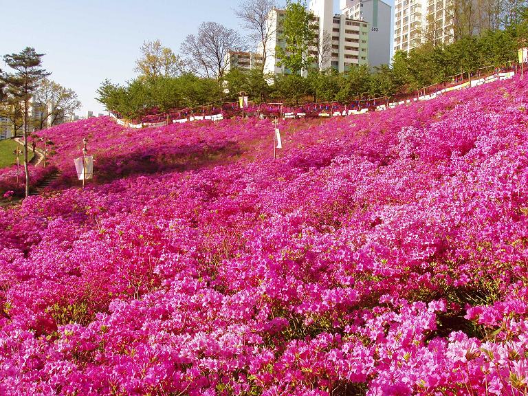 경기도 군포시 산본동 한양수리 | 부동산뱅크 단지뱅크