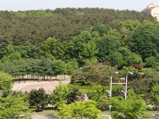 분당 샛별마을 라이프아파트에서본 중앙공원 | 부동산뱅크 커뮤니티