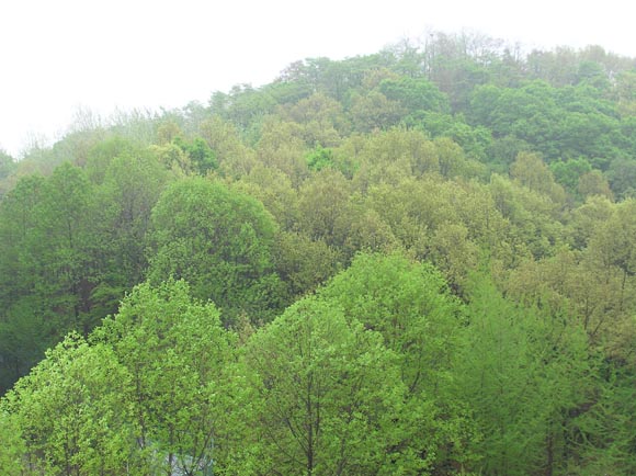 �ܺ����� - ��