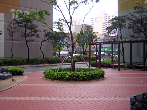 ü - ǽü(ްԽǵ)