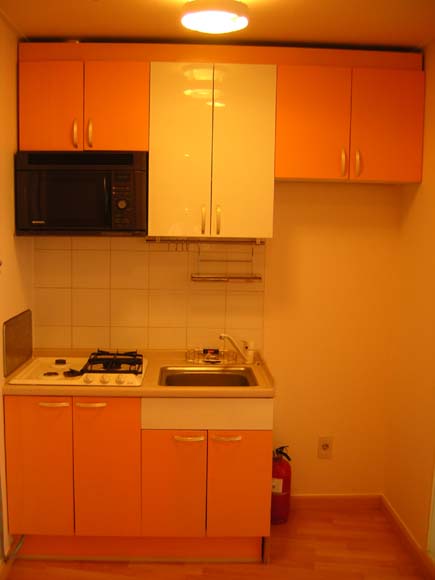 �ǳ����� - �ֹ�