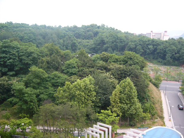 �ܺ����� - ��