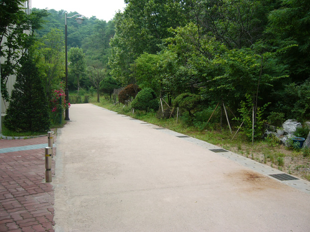 �������ü� - ��å��(����)