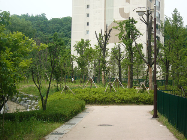 �������ü� - ��å��(����)