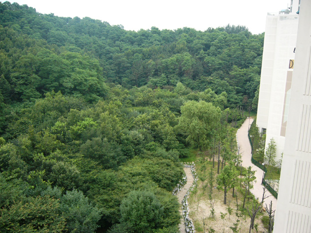 �ܺ����� - ��