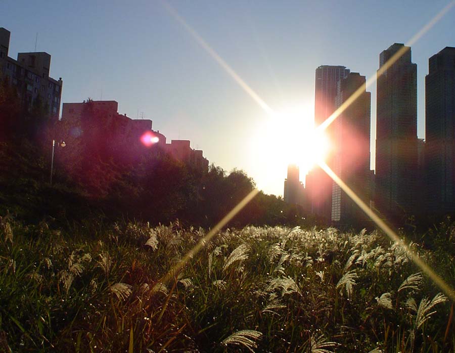 �������� - ��������