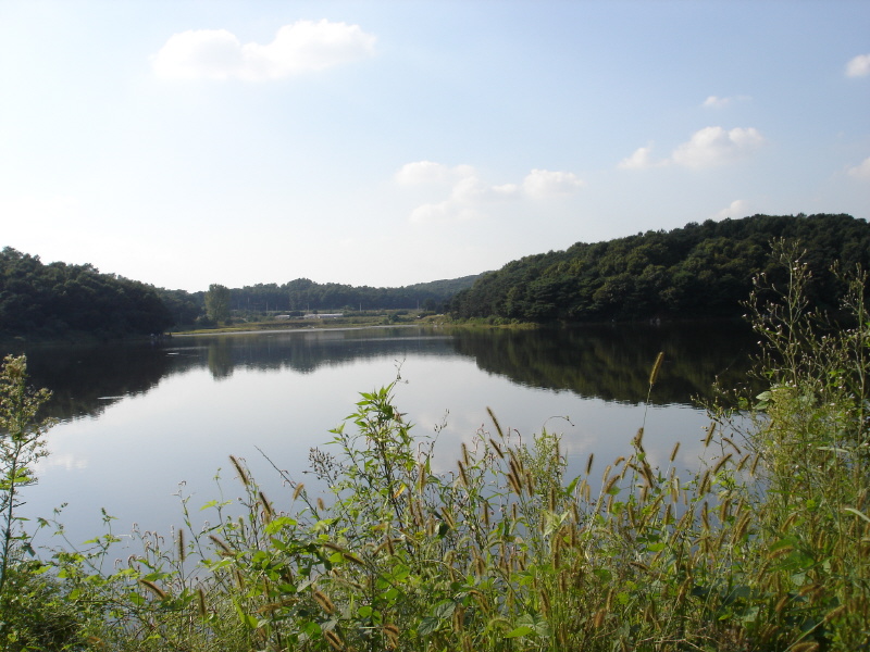 경기도 용인시 상현동 광교상현마을현대 | 부동산뱅크 단지뱅크