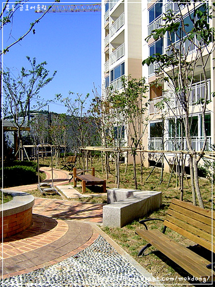 �������ü� - ���ǽü�(�ްԽǵ�)