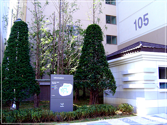 �����ü� - ������