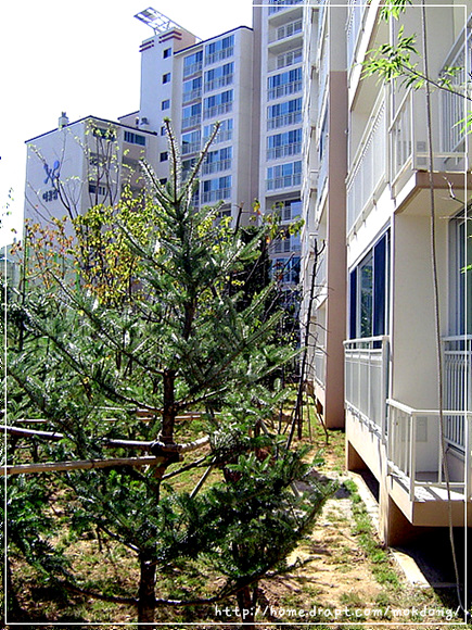 �������� - ������������