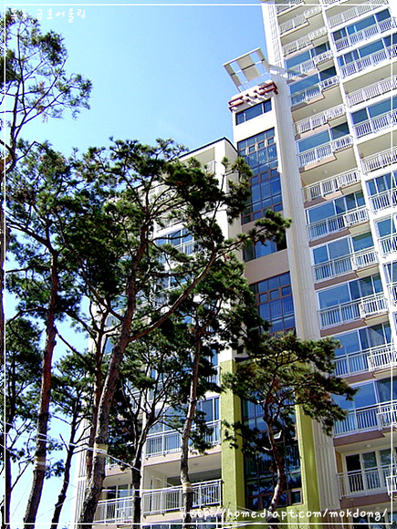 �������� - ������������