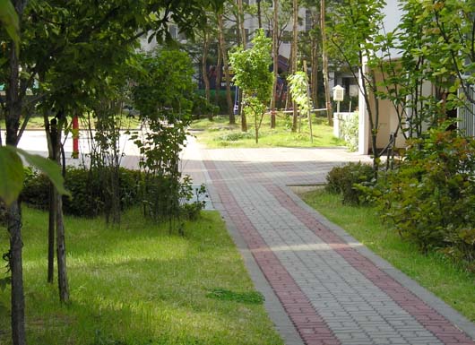 �������ü� - ��å��(����)