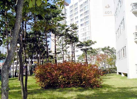 �������� - ��������