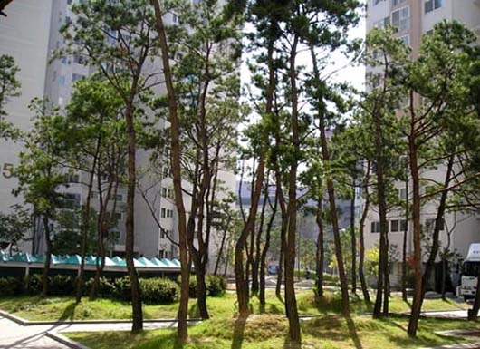 �������ü� - ����ü�