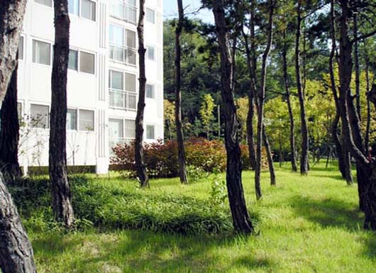 �������� - ������������