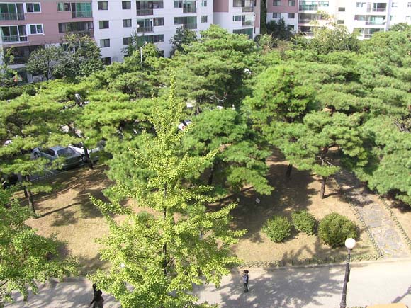 �������� - ������������