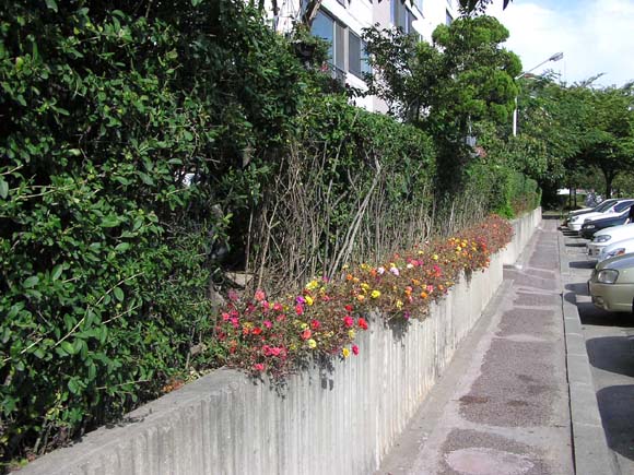 �������� - ������������