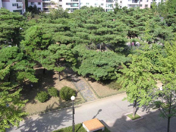 �������� - ������������