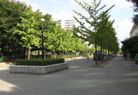 �������� - ������������