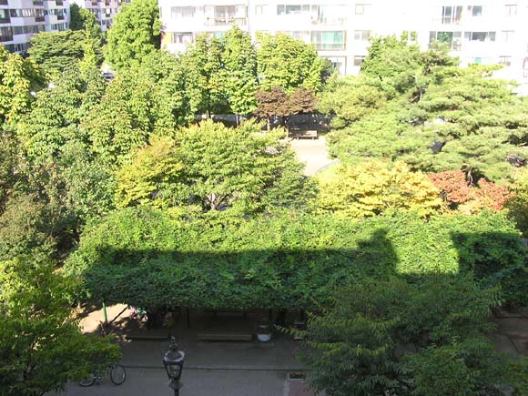 �������� - ������������