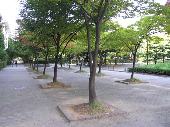 �������� - ������������