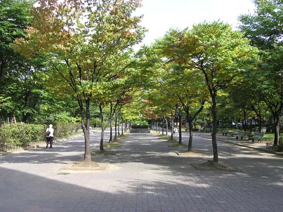 �������ü� - ��å��(����)