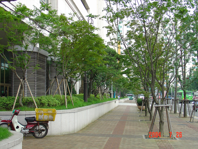 �����ֺ��ü� - �ֺ�����