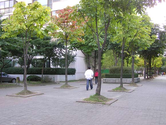 �������� - ������������