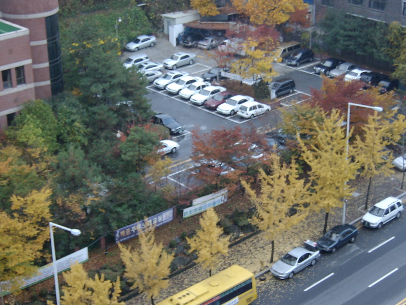 강남구 까치마을 2026