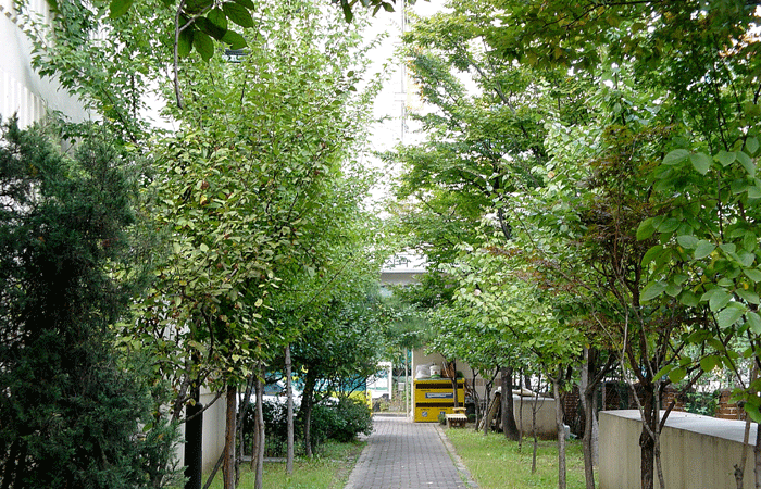 �������ü� - ��å��(����)