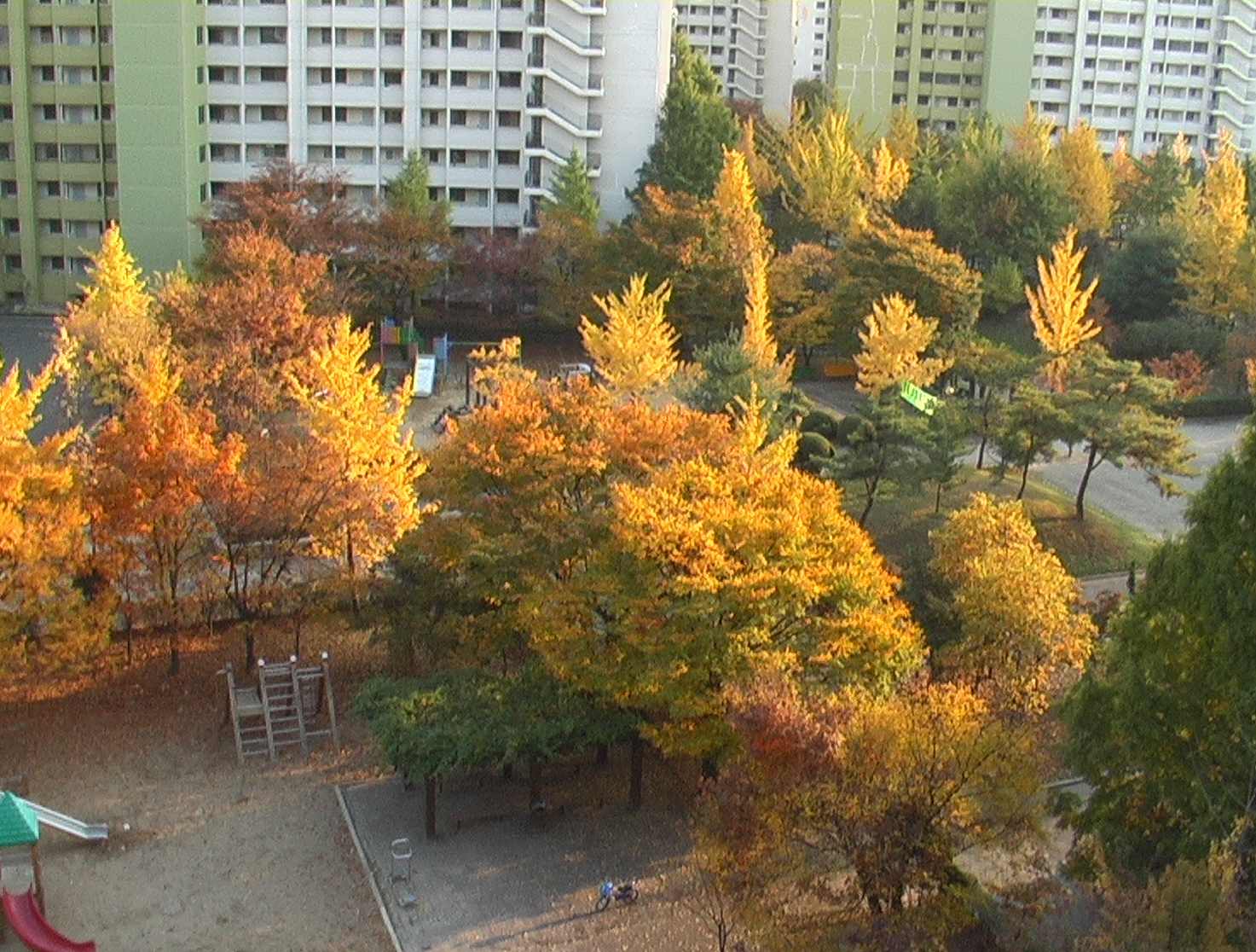 �������� - ������������