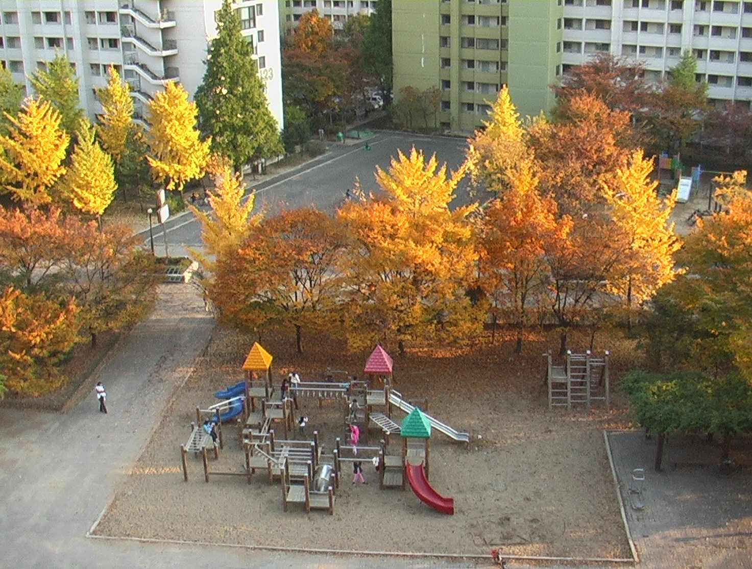 �������ü� - ������