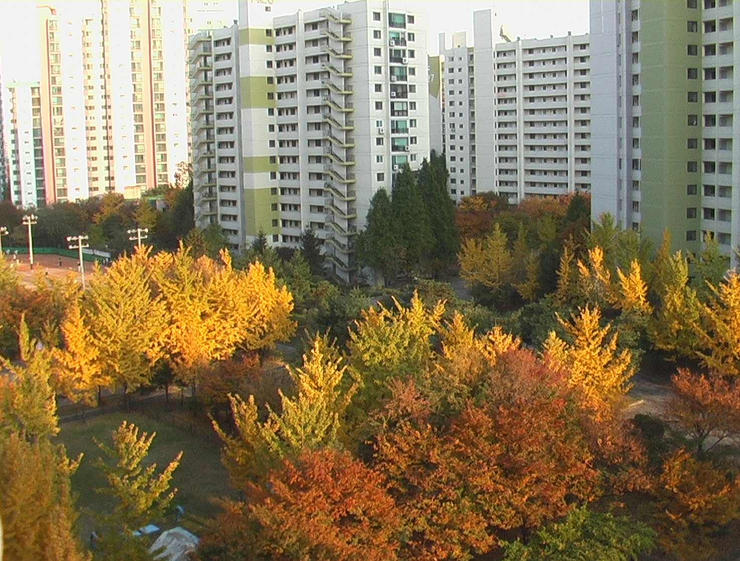 �������� - ������������