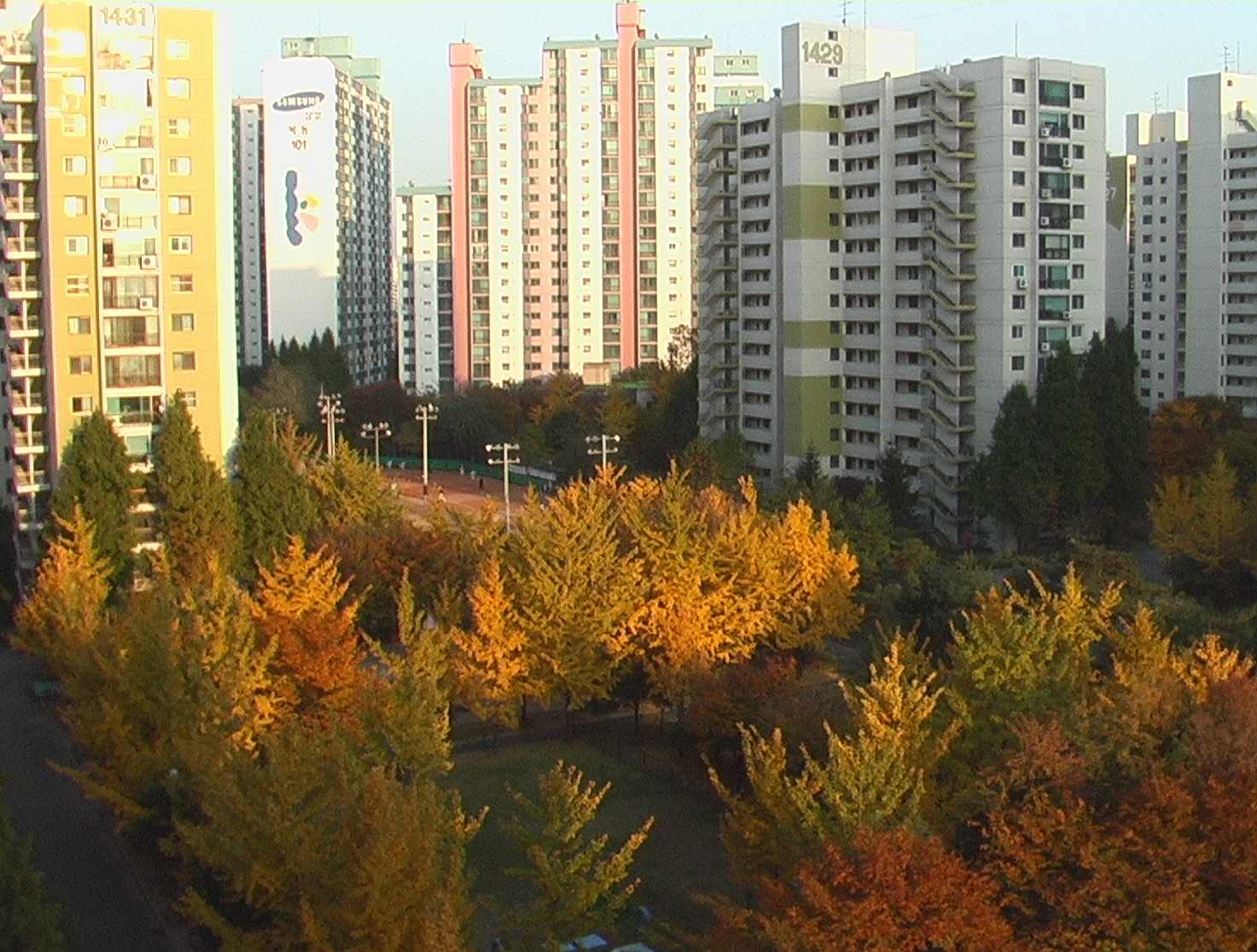 �������� - ������������