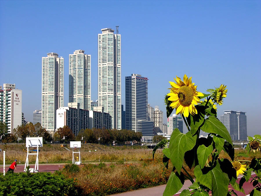 �������� - ��������