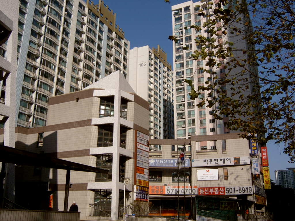 �������ü� - ��