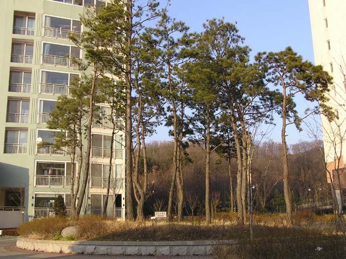 �������� - ������������