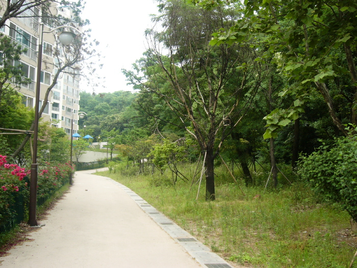 �������ü� - ������