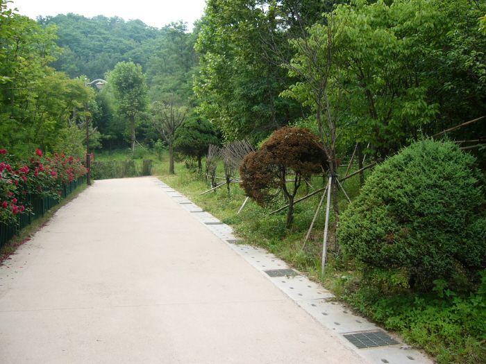 �������ü� - ��å��(����)